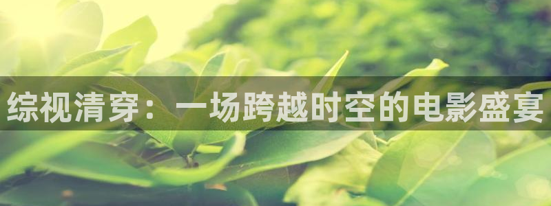 九九草莓视频：综视清穿：一场跨越时空的电影盛宴