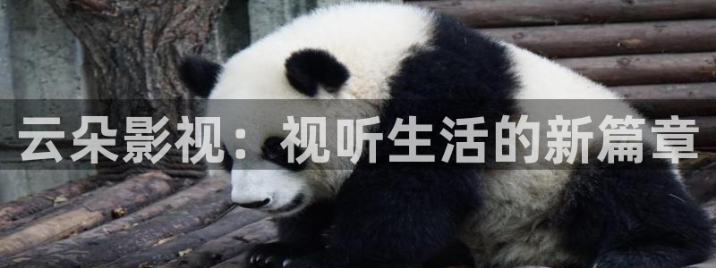 国产草莓视频一区二区在线观看：云朵影视：视听生活的新篇章
