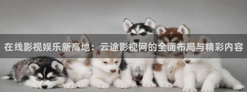 草莓视频观看在线下载：在线影视娱乐新高地：云途影视网的全面布局与精彩内容
