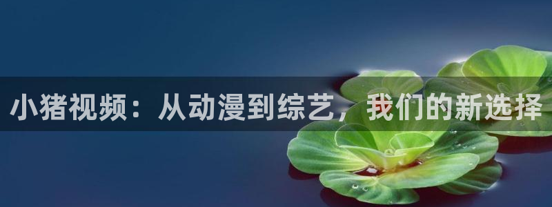 草莓视频永久：小猪视频：从动漫到综艺，我们的新选择