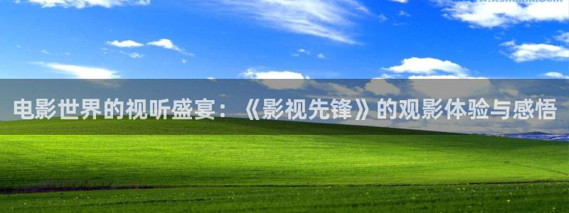 草莓视频搞黄：电影世界的视听盛宴：《影视先锋》的观影体验与感悟