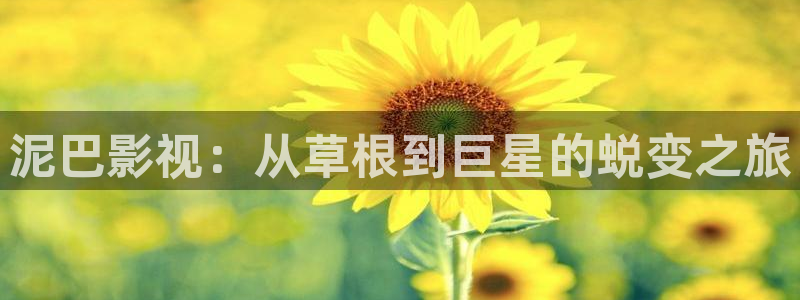 草莓视频app 怎么下载：泥巴影视：从草根到巨星的蜕变之旅